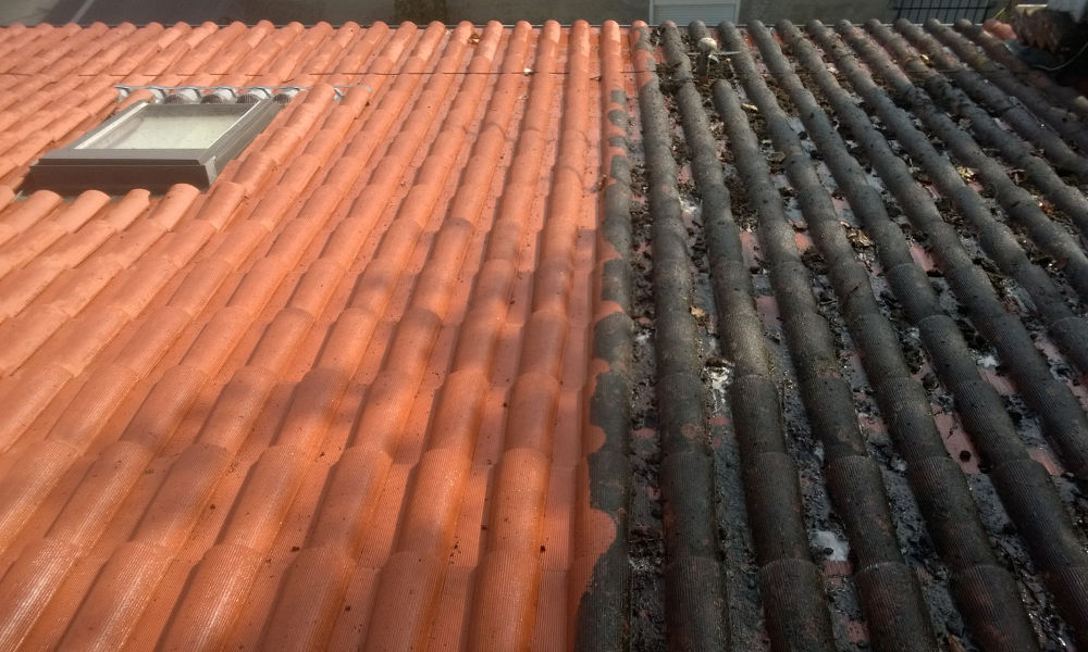 Demoussage de toiture entreprise à Nantes loire Atlantique